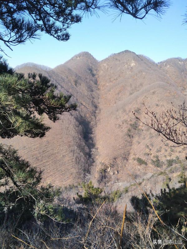冬至驢行泰山之黃石崖，老平臺，映霞峰，桃花峪東西穿越