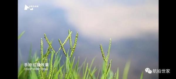 大新聞：4/3英寸只要7999？哈博森這是要逆襲了麼