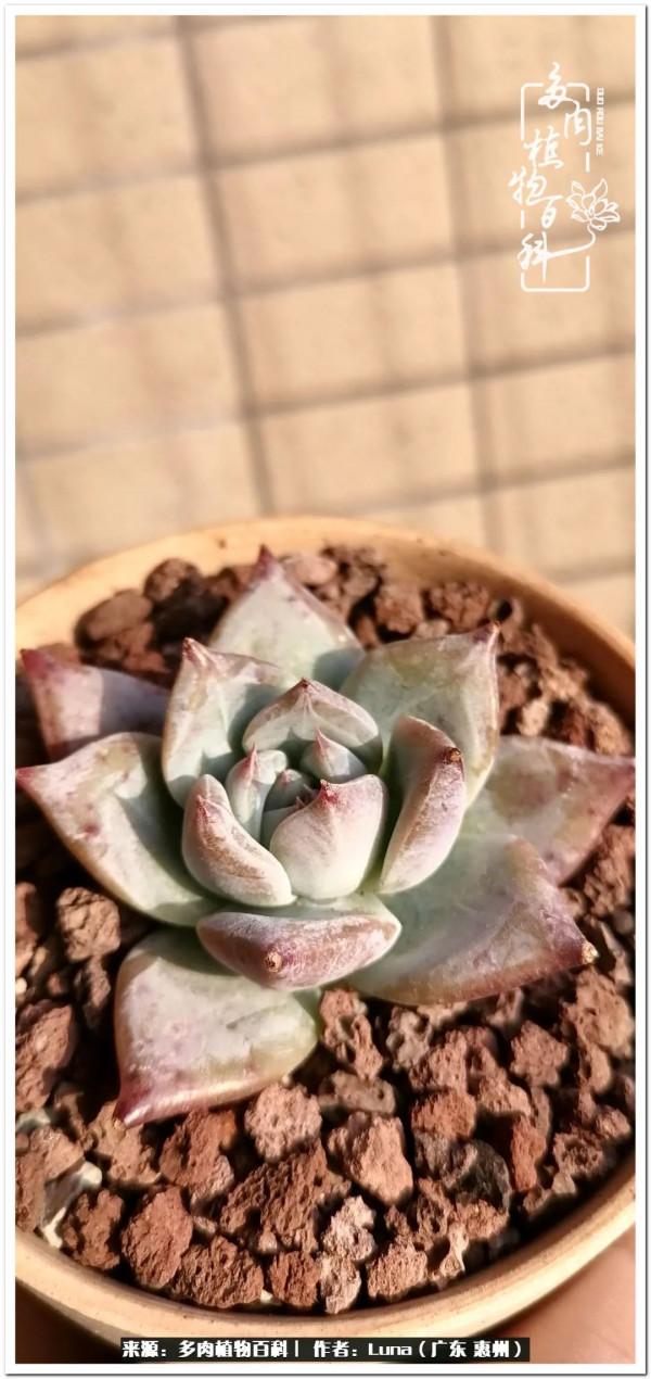 學會和解:與自己、與他人、與世界 學會和解:與自己、與他人、與世界