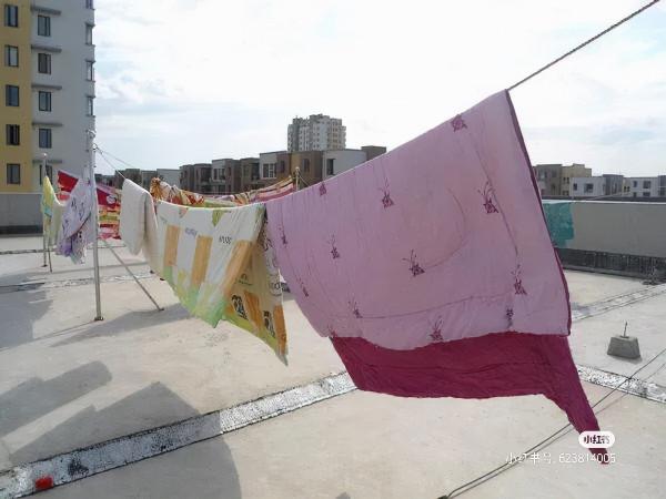 這些家家都有的電器，實際藏著很多智商稅