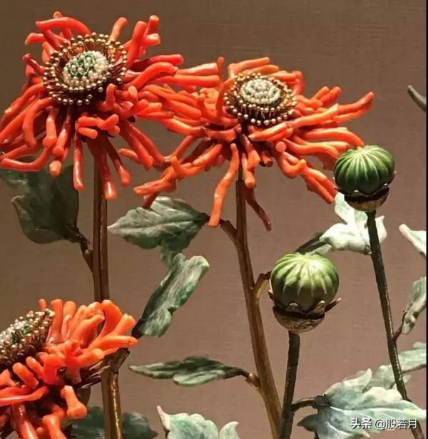 這些盆栽要是家裡能有一盆，賊有面子