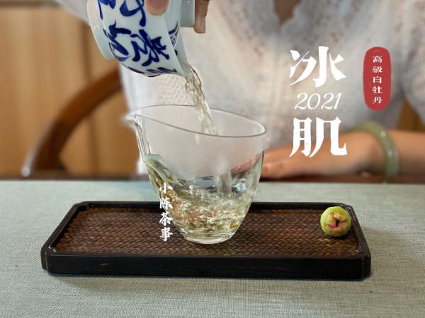 從芽頭、葉片到茶梗,教你分辨白牡丹餅與春壽眉餅,很全很詳細 從芽頭、葉片到茶梗,教你分辨白牡丹餅與春壽眉餅,很全很詳細