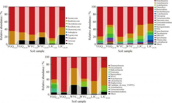 「專家視角」石油汙染土壤微生物群落分佈特徵 「專家視角」石油汙染土壤微生物群落分佈特徵
