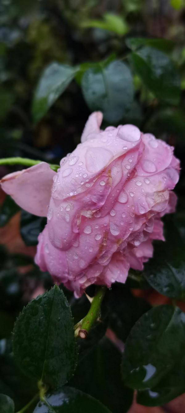 不是老歌好聽了，而是聽歌的人有故事了