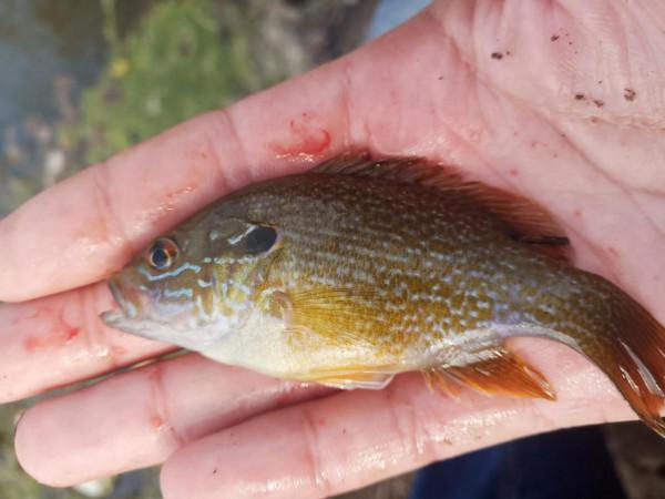 從“爆護”到“光頭”,連釣三天西南風,為何差別那麼大? 從“爆護”到“光頭”,連釣三天西南風,為何差別那麼大?