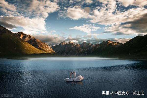 調好脾胃,再補益腎,功能障礙也會改善 調好脾胃,再補益腎,功能障礙也會改善