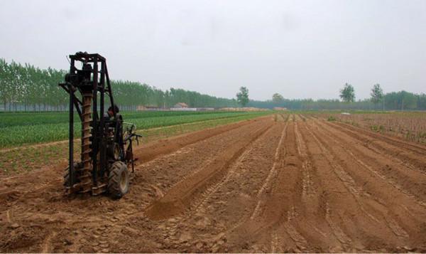 襄陽“山藥大王”鄒濤:靠山藥一年賣出4億元,帶2500戶鄉親致富 襄陽“山藥大王”鄒濤:靠山藥一年賣出4億元,帶2500戶鄉親致富