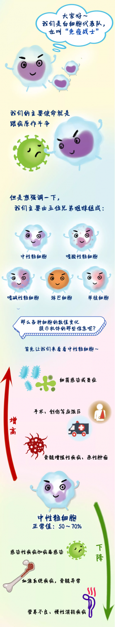 看到血常規報告腦殼痛？一圖教您讀懂