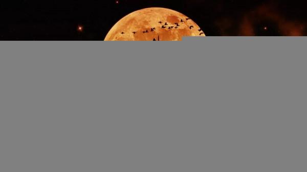 原創散文：秋風歸故里 明月寄相思