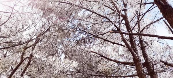 她來啦！東獅山絕美霧凇來襲