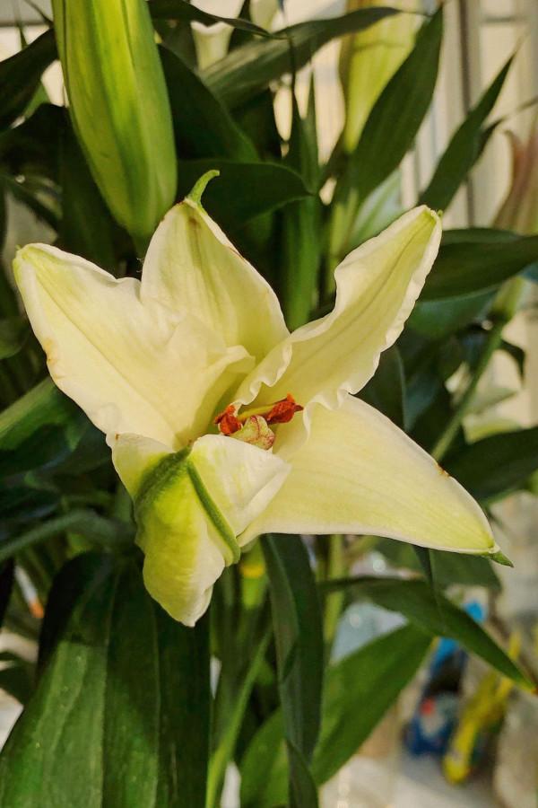 下一週,桃花雨後,心疼的淚,不被珍惜,轉身離去,再不留戀 下一週,桃花雨後,心疼的淚,不被珍惜,轉身離去,再不留戀