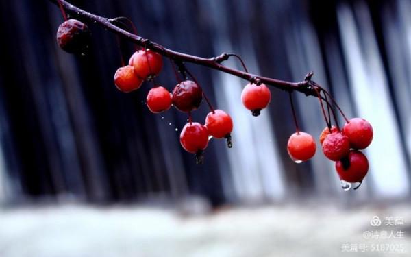 走在古城秋色裡