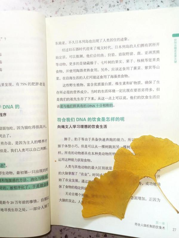 讀懂《飲食術》，減糖減脂撿回健康