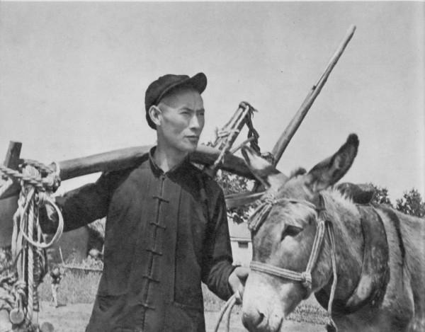 外賓問,中國有三條腿的驢?周總理說是的!這是怎麼回事? 外賓問,中國有三條腿的驢?周總理說是的!這是怎麼回事?