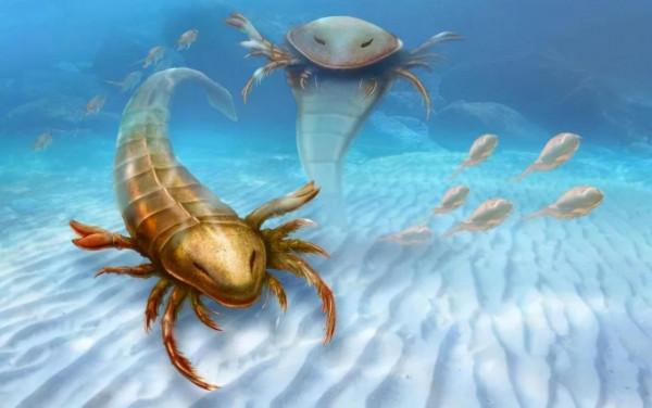 硬核科普:為什麼只有人類進化出高度發達的大腦? 硬核科普:為什麼只有人類進化出高度發達的大腦?