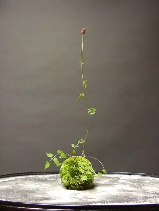 超美花藝，淨化心靈