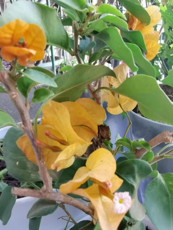 在廣東父母老了需要照顧時，兄弟姐妹和睦相處，是有條件的