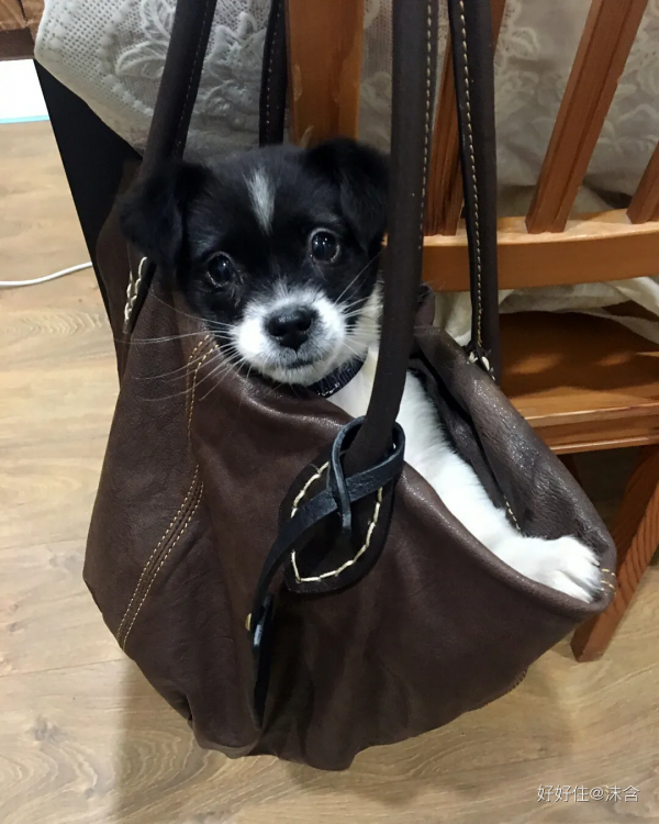 獨居女子神級改造60平小戶型，竟塞下五大功能區，收納顏值雙逆襲