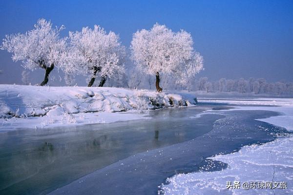 解鎖大自然的藝術品——驚豔了冬日的霧凇 解鎖大自然的藝術品——驚豔了冬日的霧凇