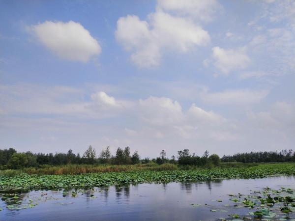 重大考古發現，大邑商與大邑周是武王克商前後對同一古城邑的美稱