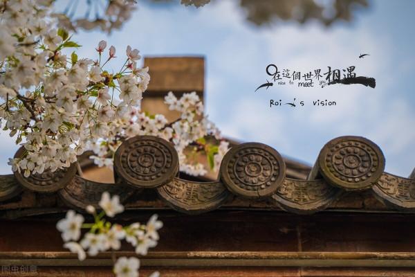 我的朝鮮生活(29) 我的朝鮮生活(29)