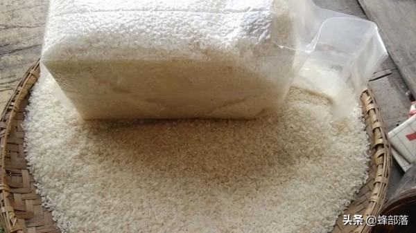 2021年玉米、稻穀相繼收穫,儲存時如何避免長蟲?3個方法 2021年玉米、稻穀相繼收穫,儲存時如何避免長蟲?3個方法