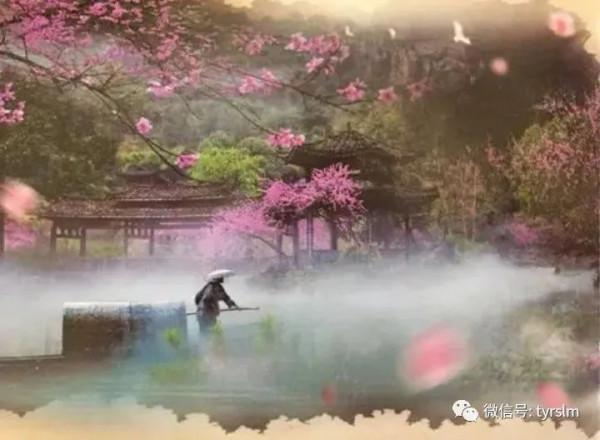 遊桃花源兮 遊桃花源兮