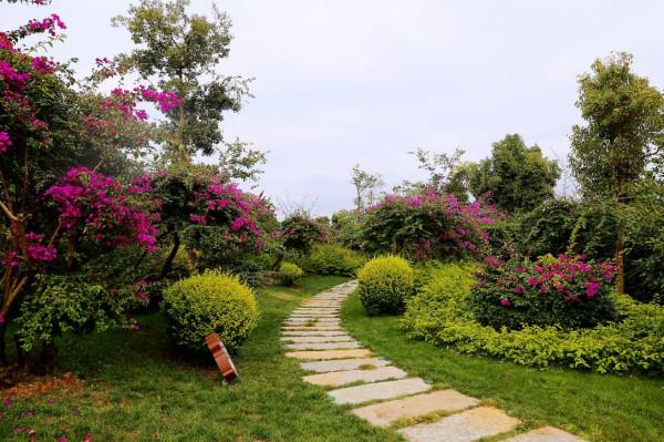 彌勒太平湖森林木屋酒店是最好的休閒、度假、養生天堂 彌勒太平湖森林木屋酒店是最好的休閒、度假、養生天堂