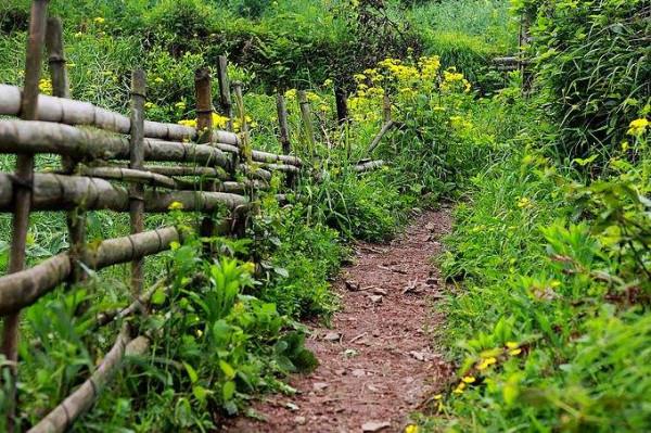 浙江十大冷門景點，人少景美好玩