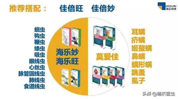貓把自己舔禿了！是不是嘲笑我禿頂啊？