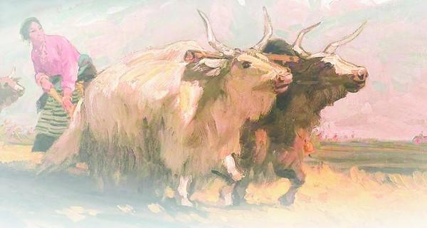 12月3日解放軍報導讀 12月3日解放軍報導讀