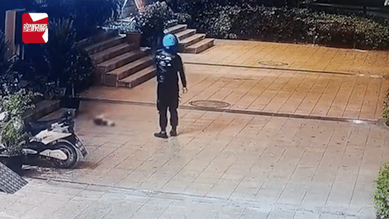 超可愛的看門貓：6歲貓咪每天都蹲在家門口，迎接每一個到訪的人