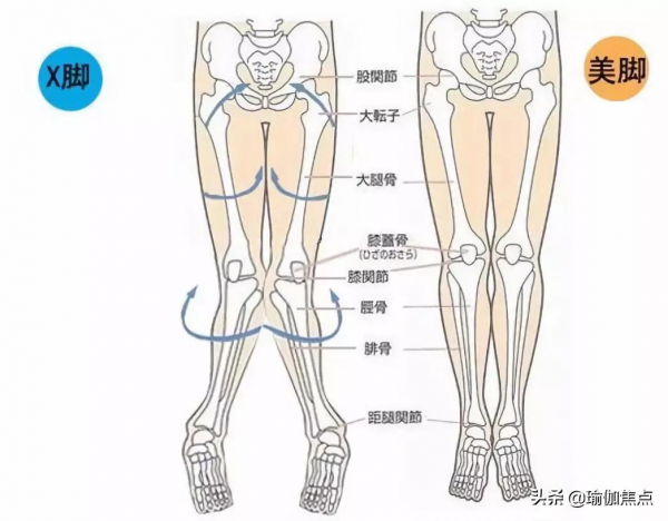 練瑜伽，什麼是&quot;X／O&quot;型腿？如何矯正？（收藏級）