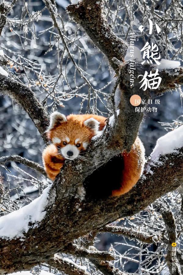 出發！看中國五大國家公園