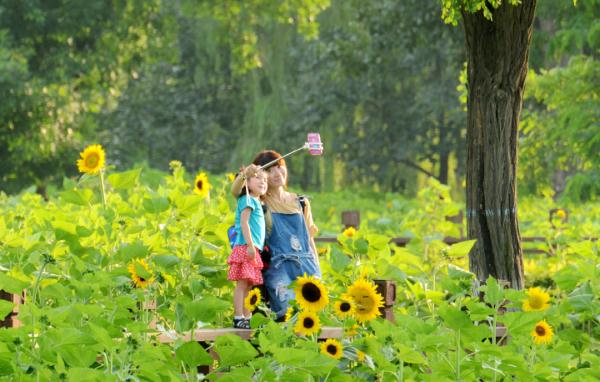 厲害!鳥類307種!喬灌木280種!北京這個公園生物真多 厲害!鳥類307種!喬灌木280種!北京這個公園生物真多