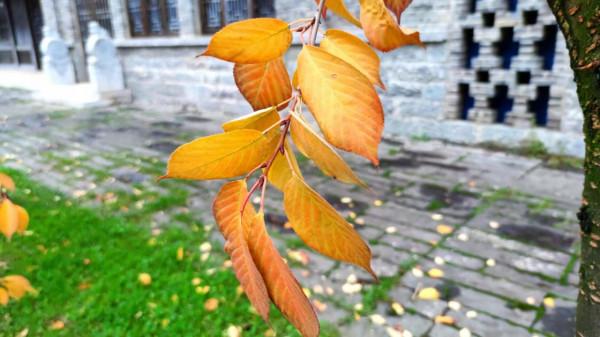 揮別——水城之憶 揮別——水城之憶