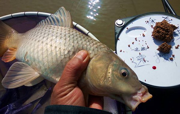 你為什麼會切線？