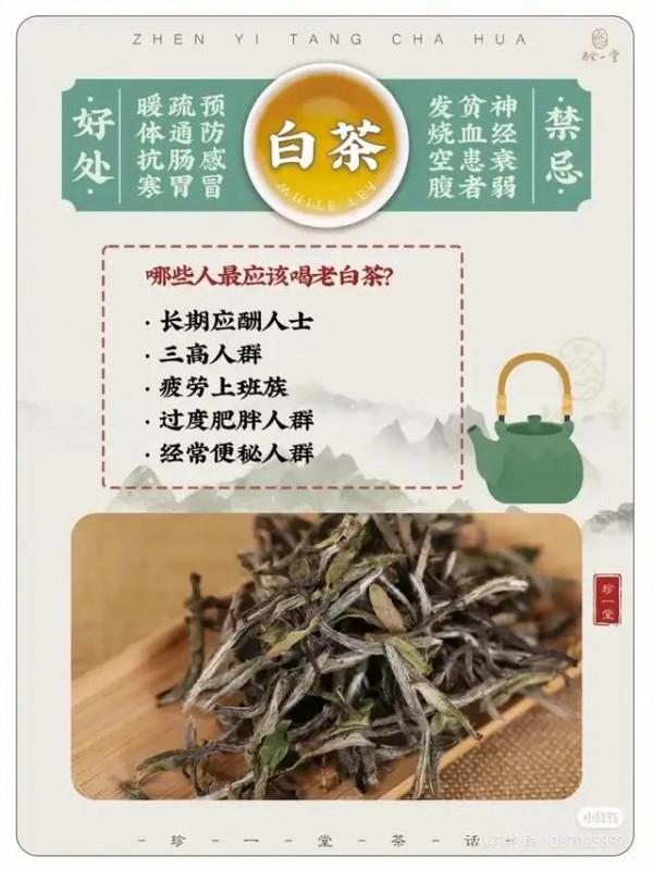 最全的喝茶攻略