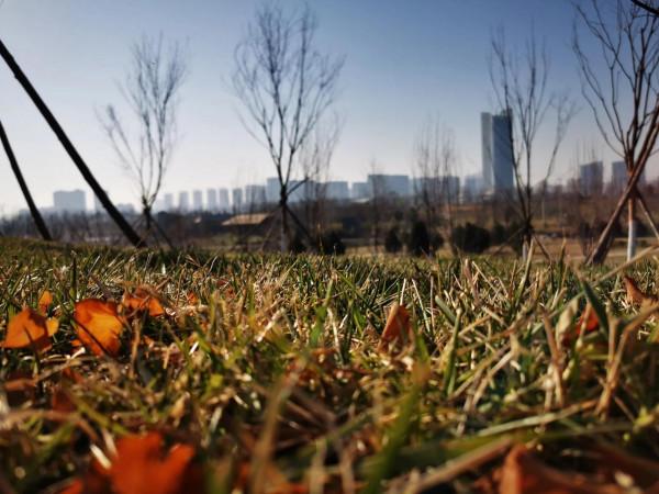 東郊新晉網紅公園，和灞河東路一起稱霸朋友圈