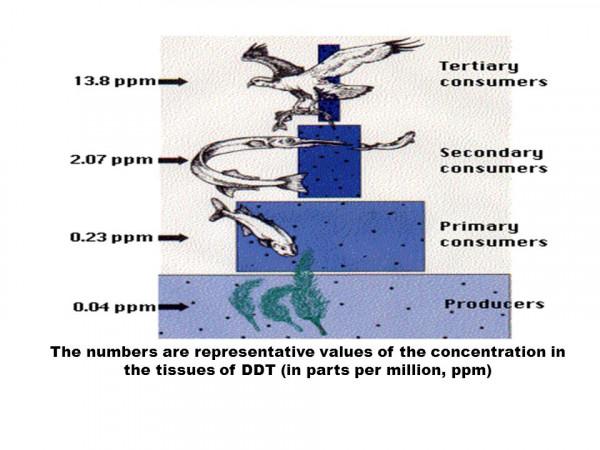 西藏羊卓雍措裡的魚，多達8億公斤，為啥無人敢吃？