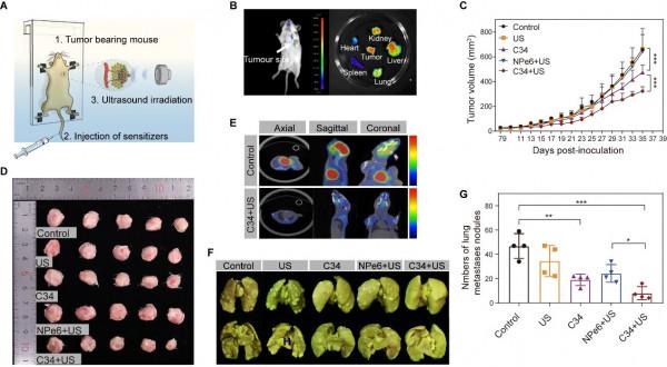 國家癌症中心釋出重要資料！東北教授團隊獲腫瘤治療新進展，引發國際關注！