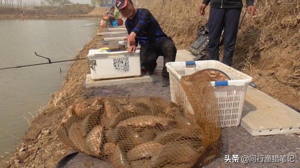 為什麼說精麻團是一款即可坑釣也可野釣鯉魚的輔助良品？