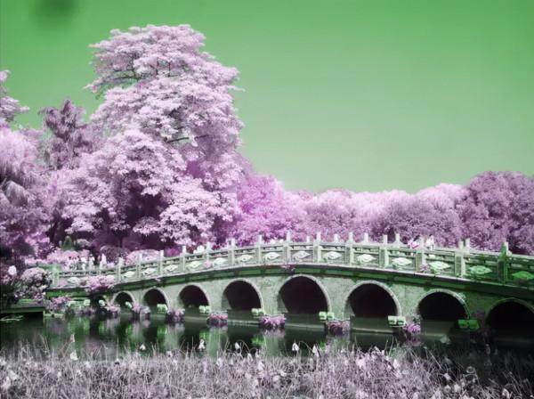 品,秋的味道 品,秋的味道