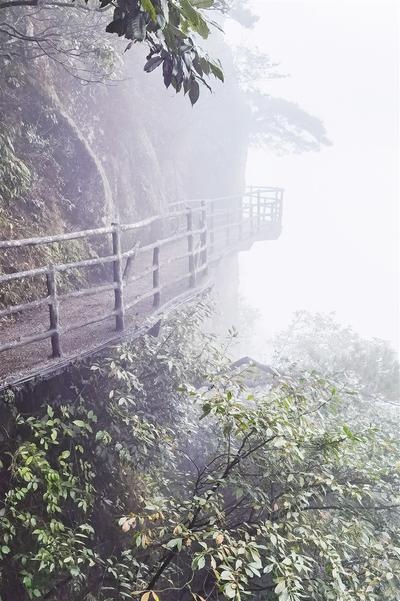 步步“驚心”羊獅慕 步步“驚心”羊獅慕