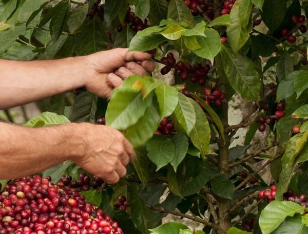 “安哥拉”現狀,帶你看看一個真實的非洲安哥拉 “安哥拉”現狀,帶你看看一個真實的非洲安哥拉