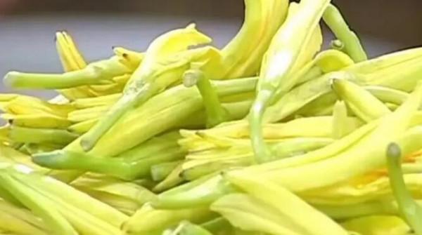 吃黃花菜前，這3件事要先了解