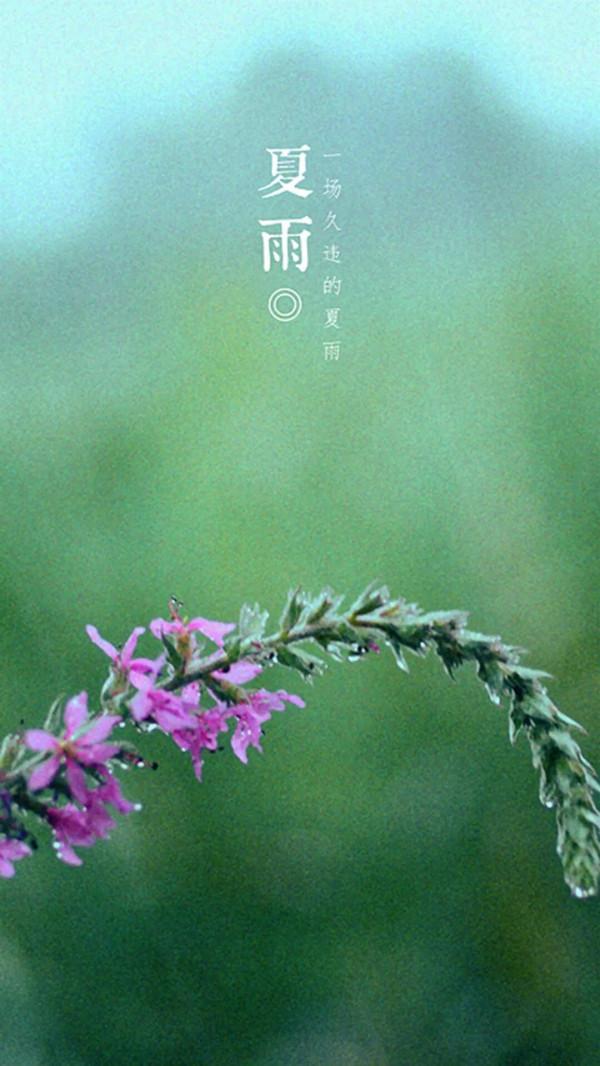 中國古詩中的“雨”（二）