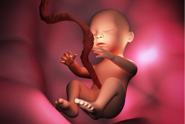 “宮內記憶”是否真的存在？即便孩子能詳細表述，父母也不要多問