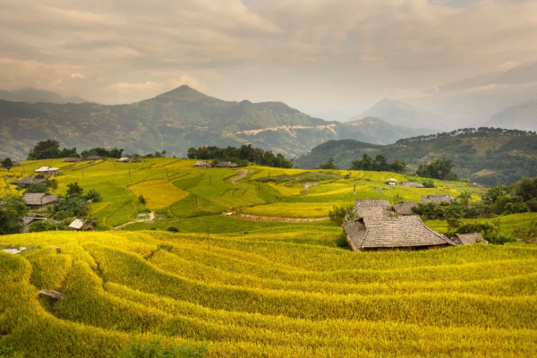 國家鄉村振興7萬億投到哪兒？主要在這23件大事上！別錯過