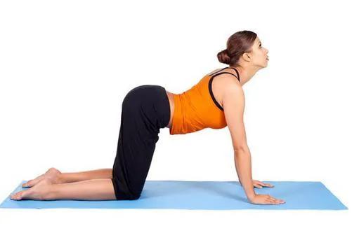 瑜伽的姿勢 瑜伽的姿勢